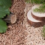 Od zera do własnej agencji: Czego nauczyły mnie ostatnie lata budowania marek