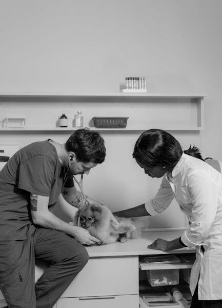 Darmowe zdjęcie z galerii z #wnętrz, badanie weterynaryjne, badanie zwierząt - Fot. Tima Miroshnichenko