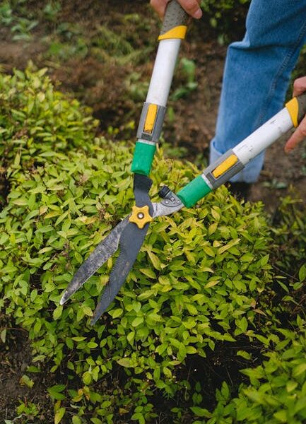 Darmowe zdjęcie z galerii z botanika, cięcie, dziedziniec - Fot. Anna Shvets