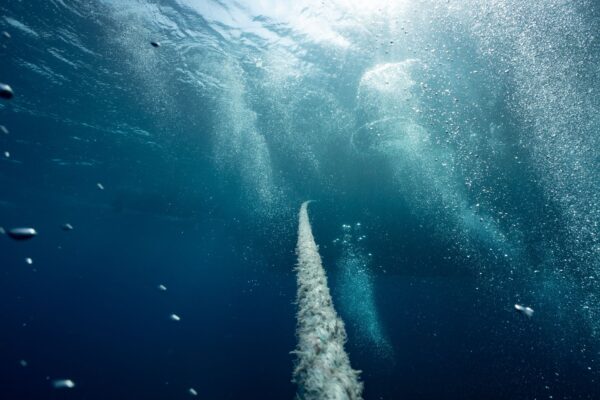 Explore the deep blue underwater world with bubbles, rope, and ambient light., zdjęcie ilustracyjne